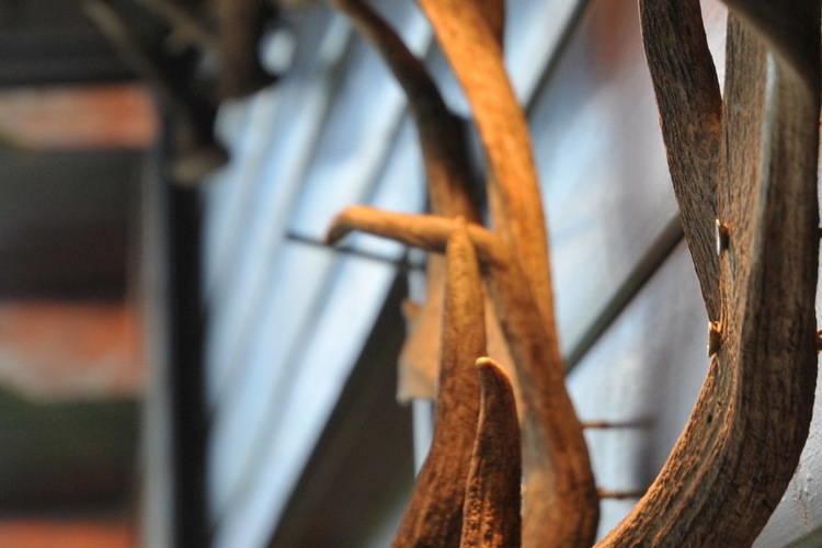 Willa Arbre Dresse Somme-Leuze Pokój zdjęcie